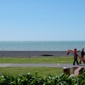 Napier Beach