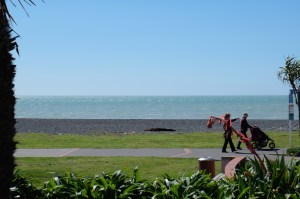 Napier beach from the Sound Shell