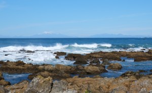 The view from our table at The Bach