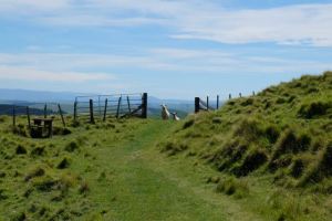 Otatara Pa Monday walk with Jo - 07