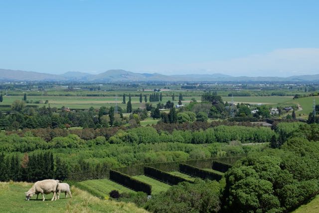 Otatara Pa Monday walk with Jo - 18