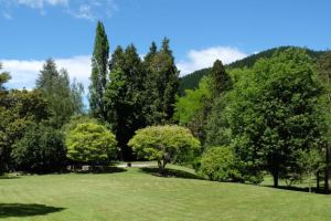 Looking back at the Fibonacci spiral