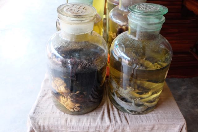 Yes, that really is a monkey in the jar.