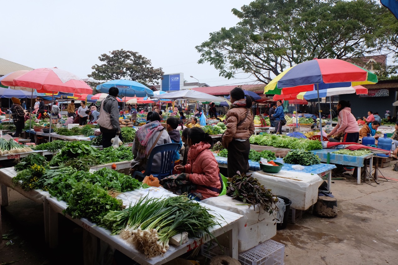 Luang Namtha morning market