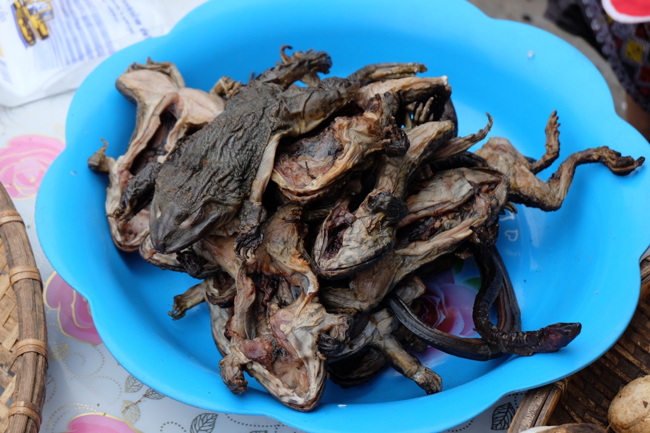 Dried frog at Luang Namtha morning market