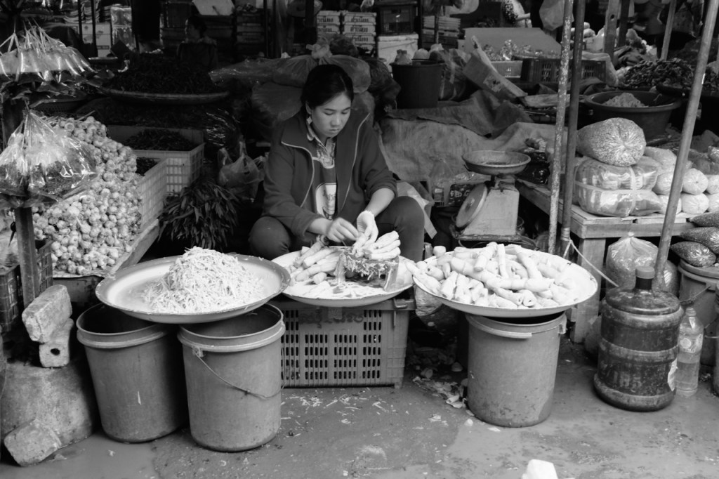 Woman shredding bamboo at Luang Prabang morning market Woman shredding bamboo at Luang Prabang morning market