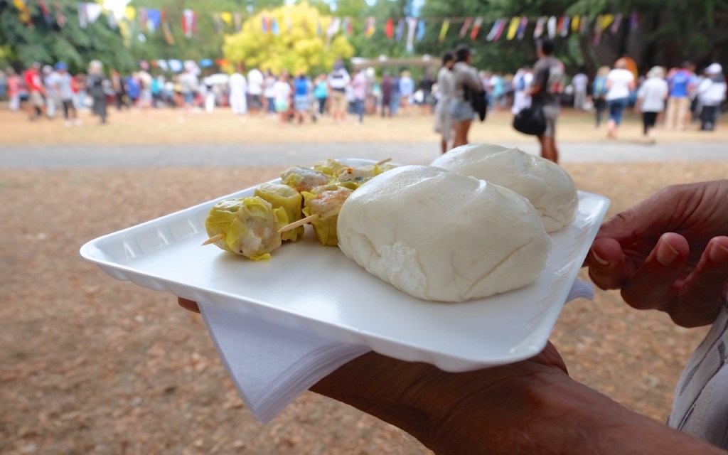 Traditional pork buns from China