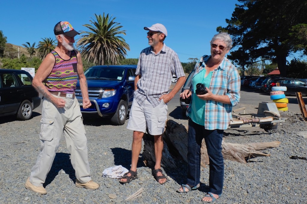 At Te Awanga Beach, Hawke Bay, New Zealand