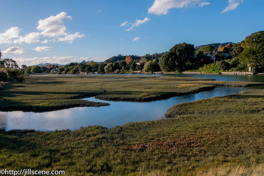 The banks of the Turanganui River