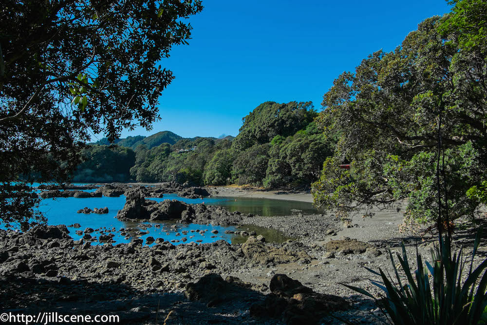 Mid morning at Whanarua Bay