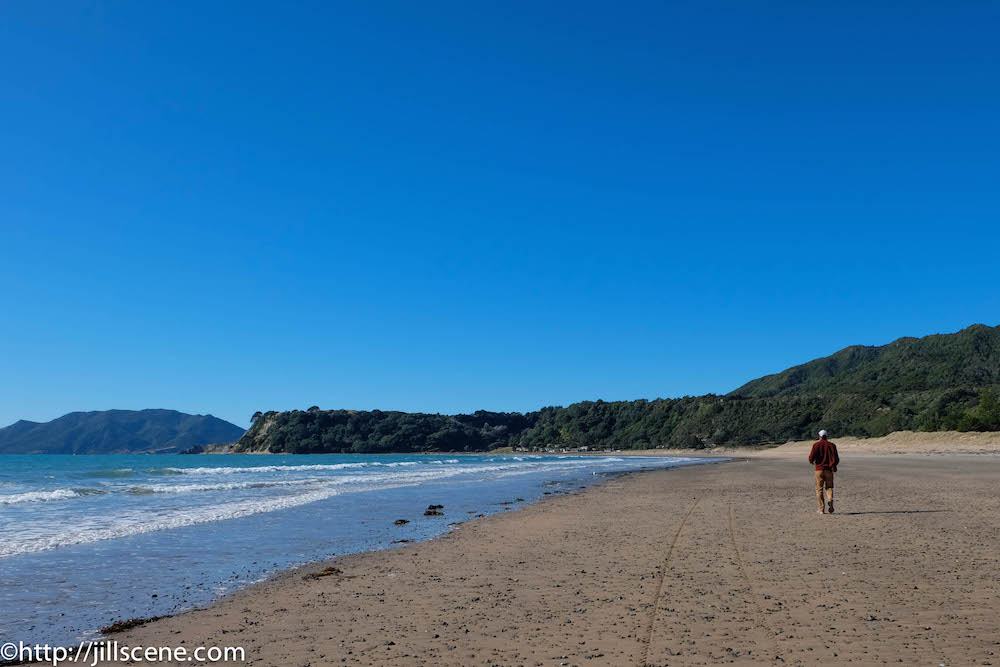 Waihou Bay Beach, looking towards Cape Runaway