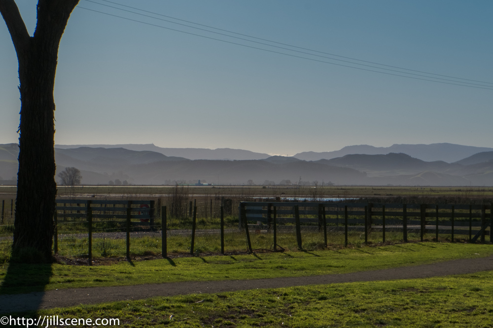 Looking towards Te Waka from the estuary.