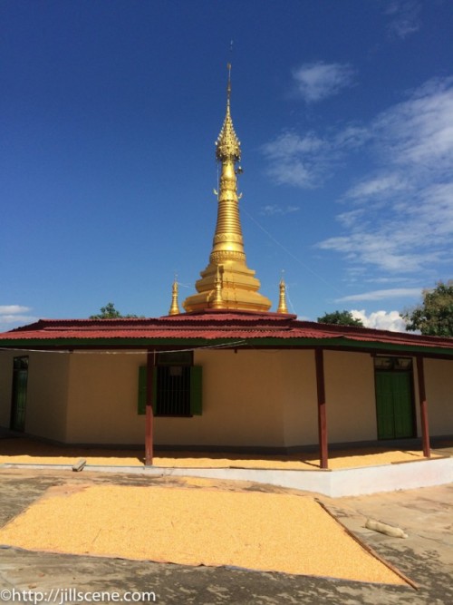 08B6C8D1-75FC-44E3-B65D-C9A4D03AAEB2-2